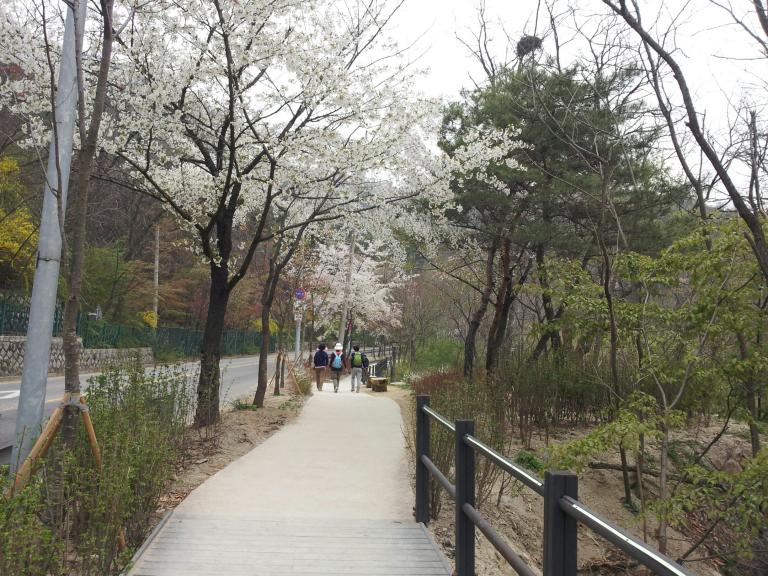산길1.jpg