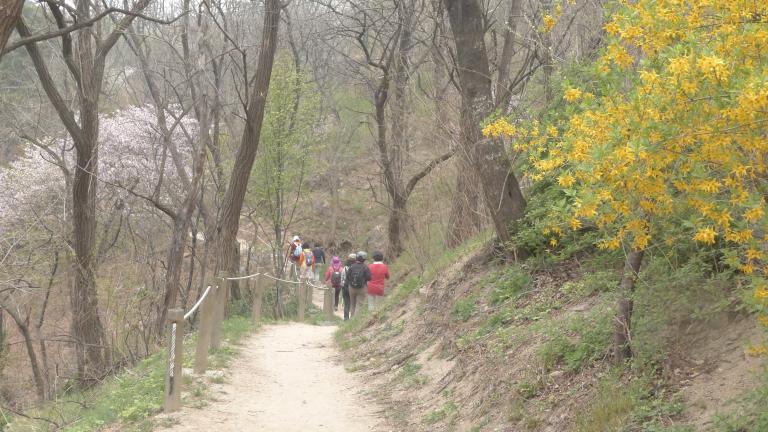 선바위가는길.JPG