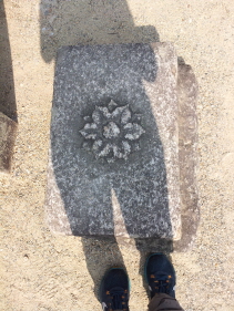 크기변환_20150728_153908.jpg