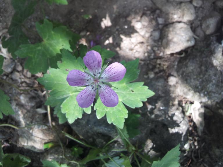 20120731_102230.jpg