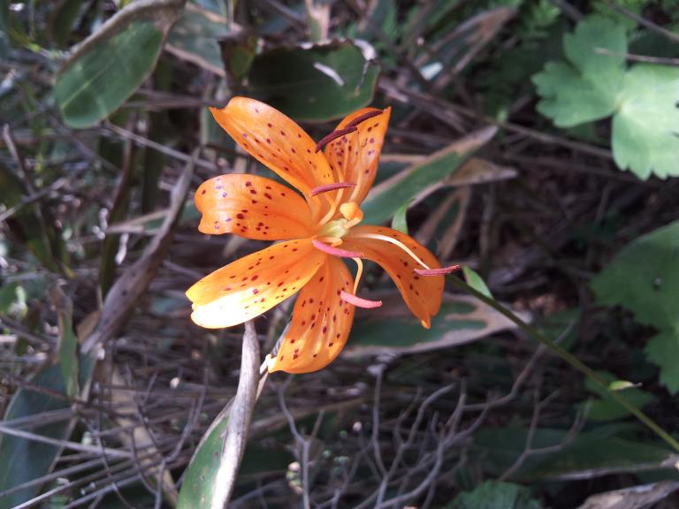 20120731_102339.jpg