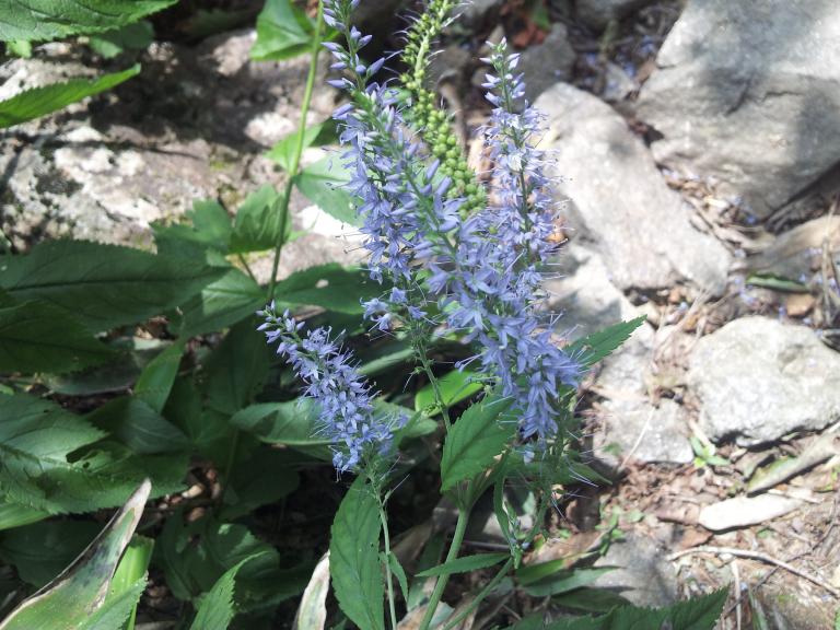 20120731_102355.jpg
