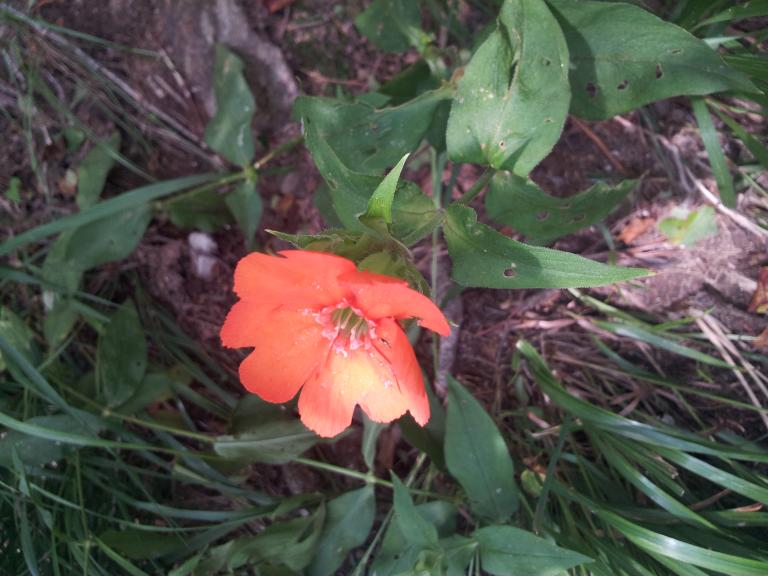 20120731_102409.jpg
