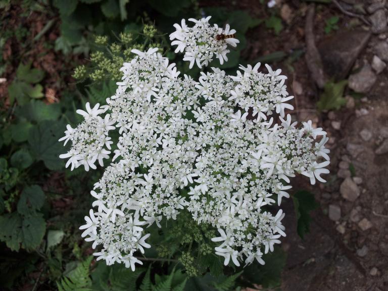 20120731_102639.jpg