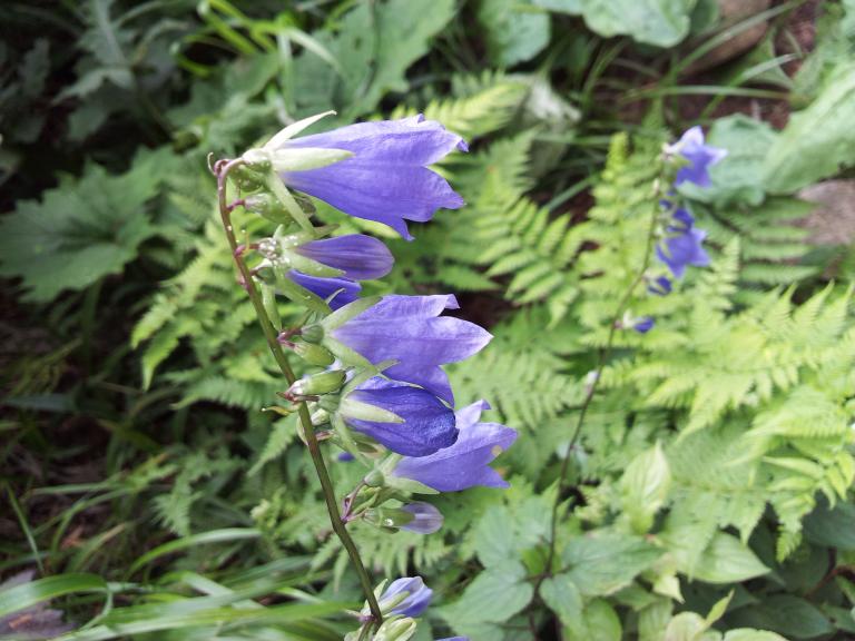 20120731_103129.jpg