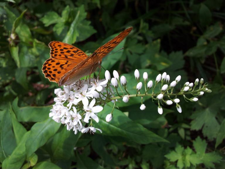 20120731_105141.jpg