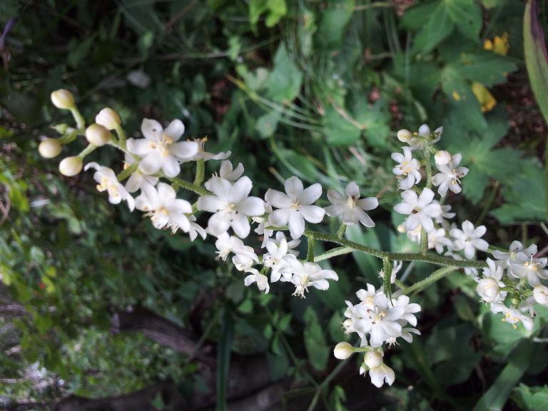 20120731_105545.jpg