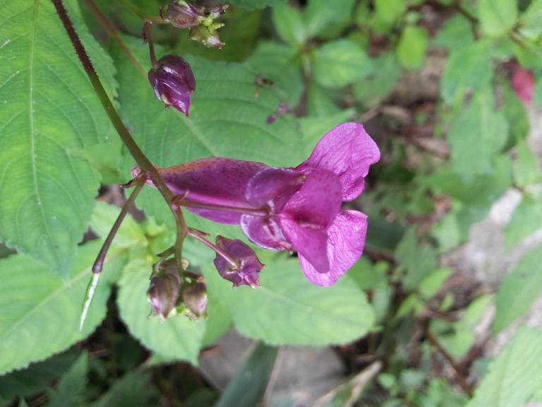 20120731_113212.jpg