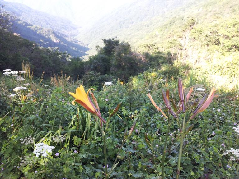 20120801_081311.jpg