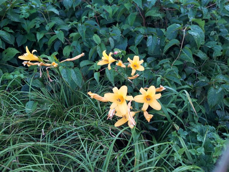20120801_081350.jpg