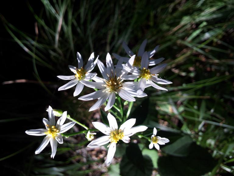 20120801_081954.jpg