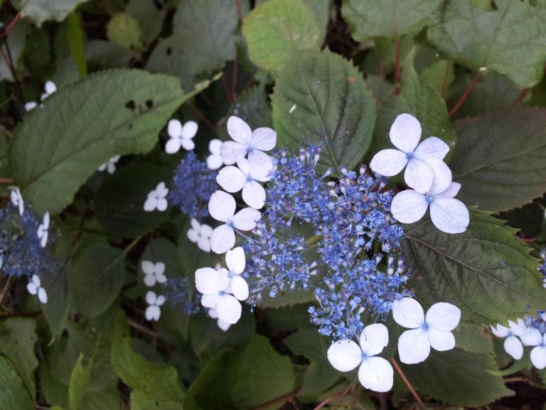 20120801_091046.jpg