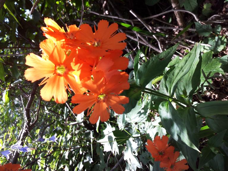 20120801_104506.jpg