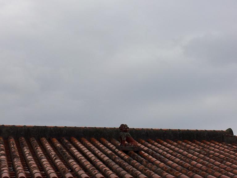 20160120_142214.jpg