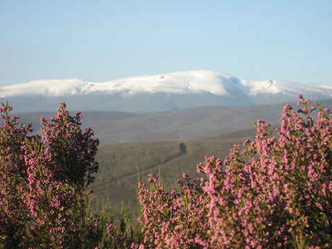 산티3.jpg