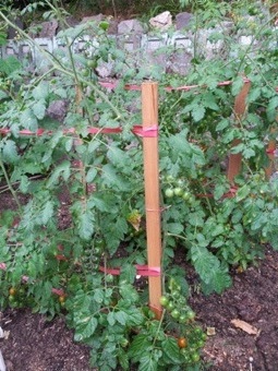 20120621_081854.jpg