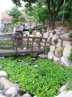 20120621_081957.jpg