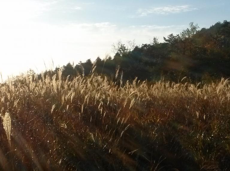 CAM00611.jpg