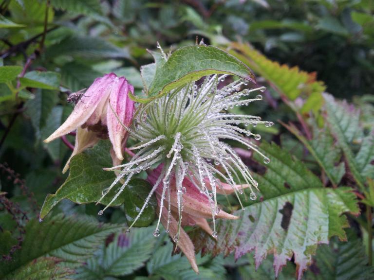 20120802_094418.jpg