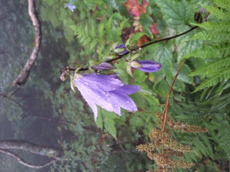 20120802_094808.jpg