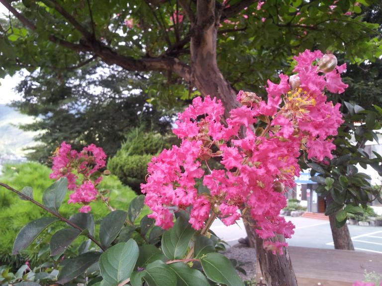 20120803_070600.jpg
