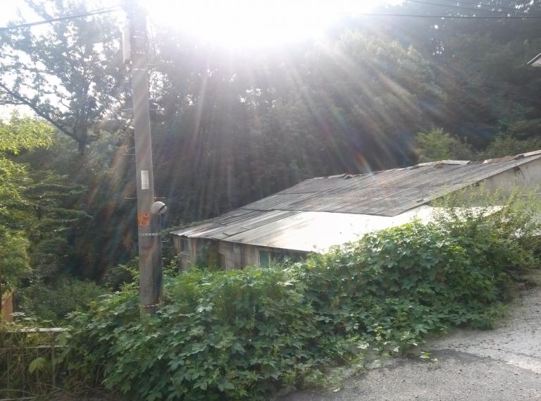 CAM00500.jpg