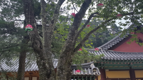 크기변환_20160725_125502.jpg 크기변환_20160725_125502.jpg