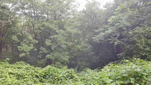 크기변환_20160725_171703.jpg 크기변환_20160725_171703.jpg
