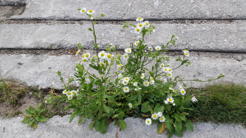 크기변환_20160725_172157.jpg 크기변환_20160725_172157.jpg