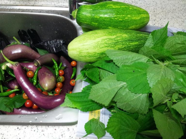 20150816_160717.jpg