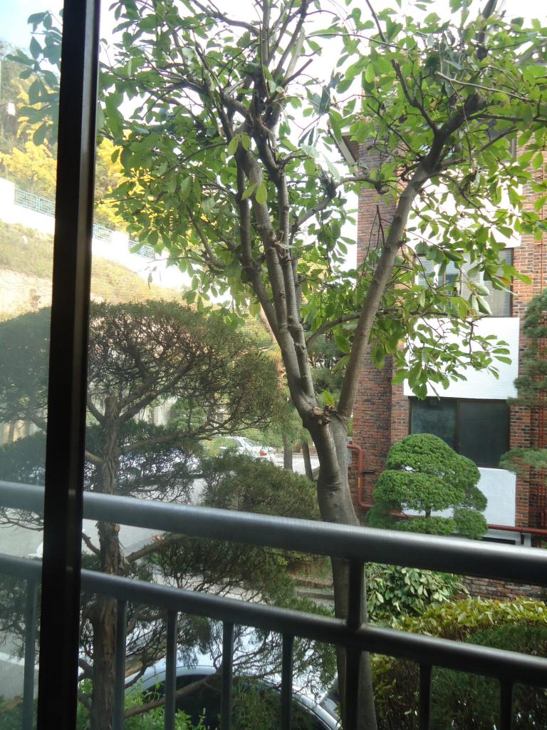 DSC03479.JPG