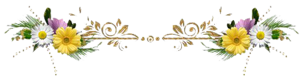0_77941_b32eebf_M.png