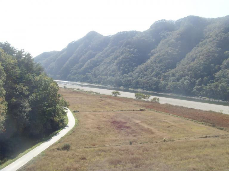 SNV38025.JPG
