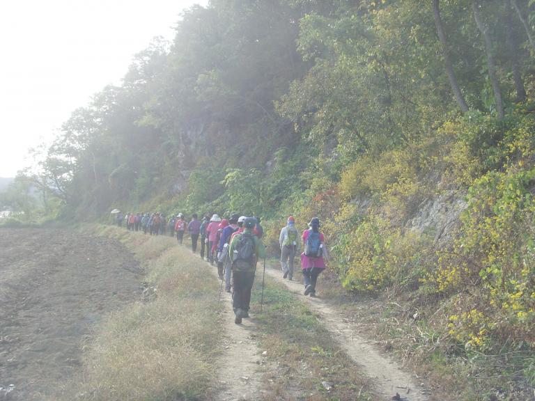 SNV38048.JPG