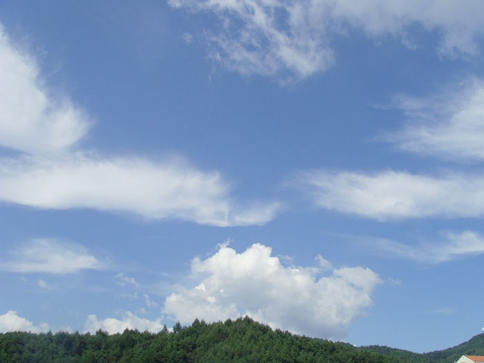 동문회 019.jpg