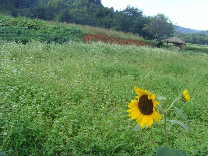 동문회 074.jpg