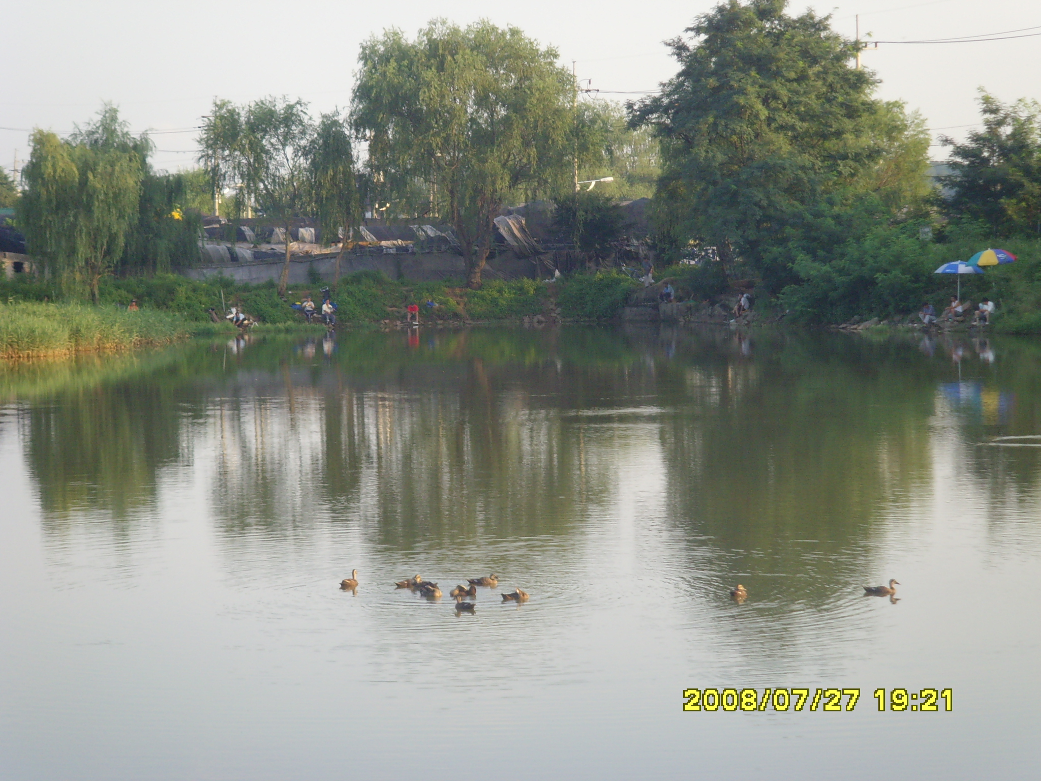 SNV36220.JPG SNV36220.JPG