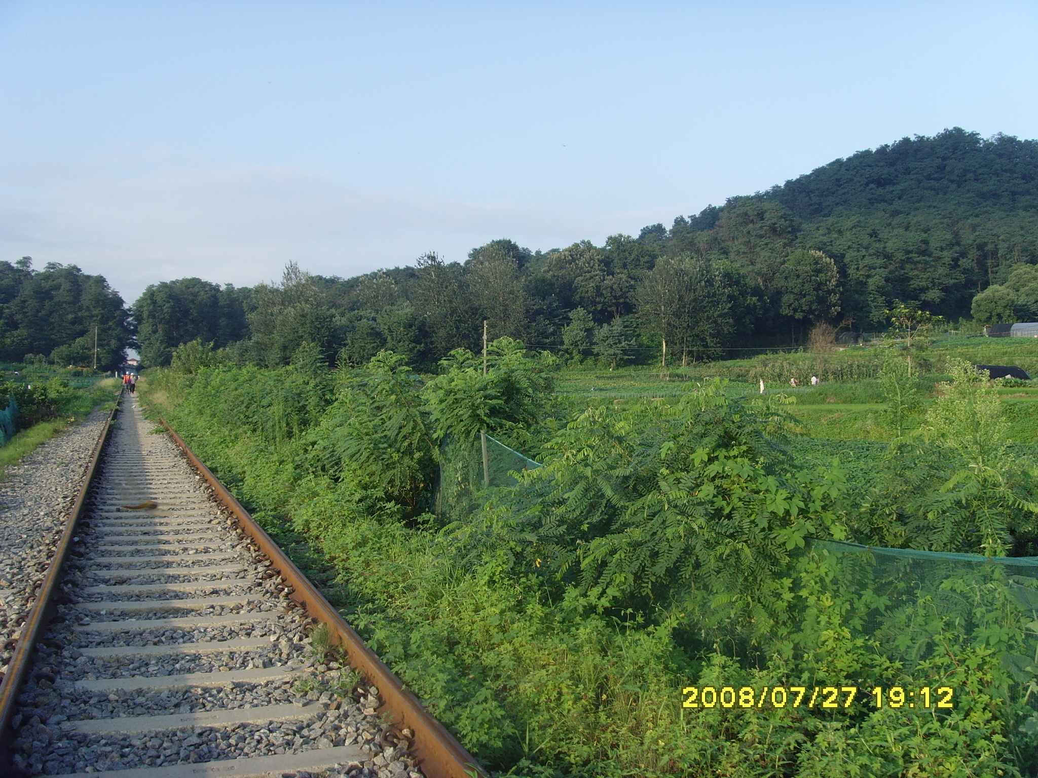 SNV36215.JPG