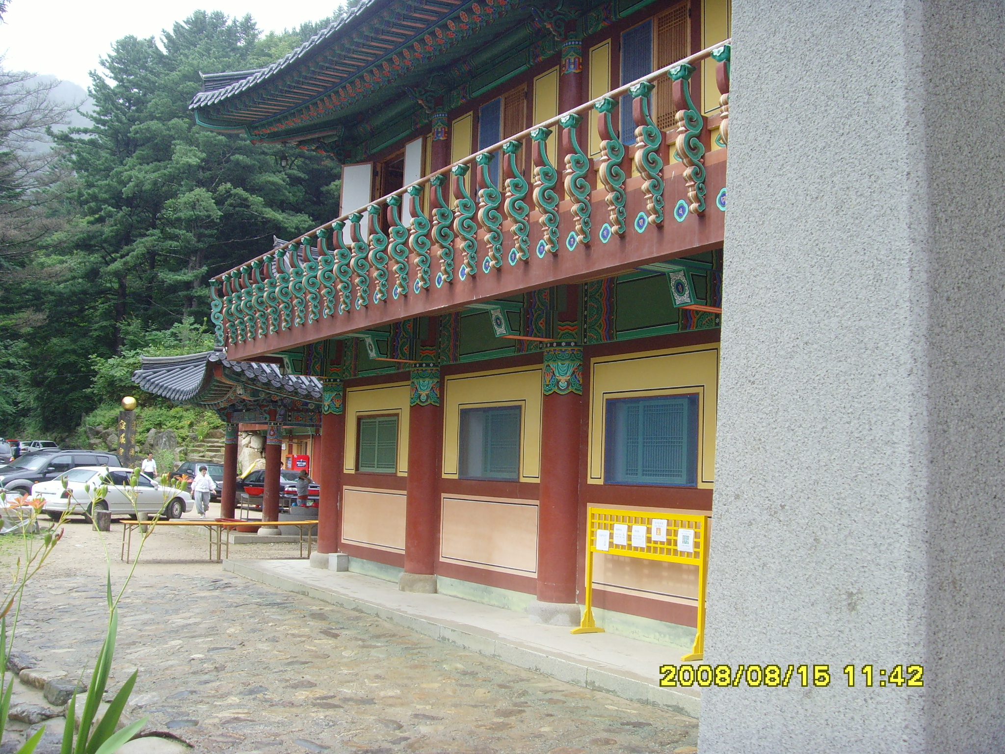 SNV36589.JPG