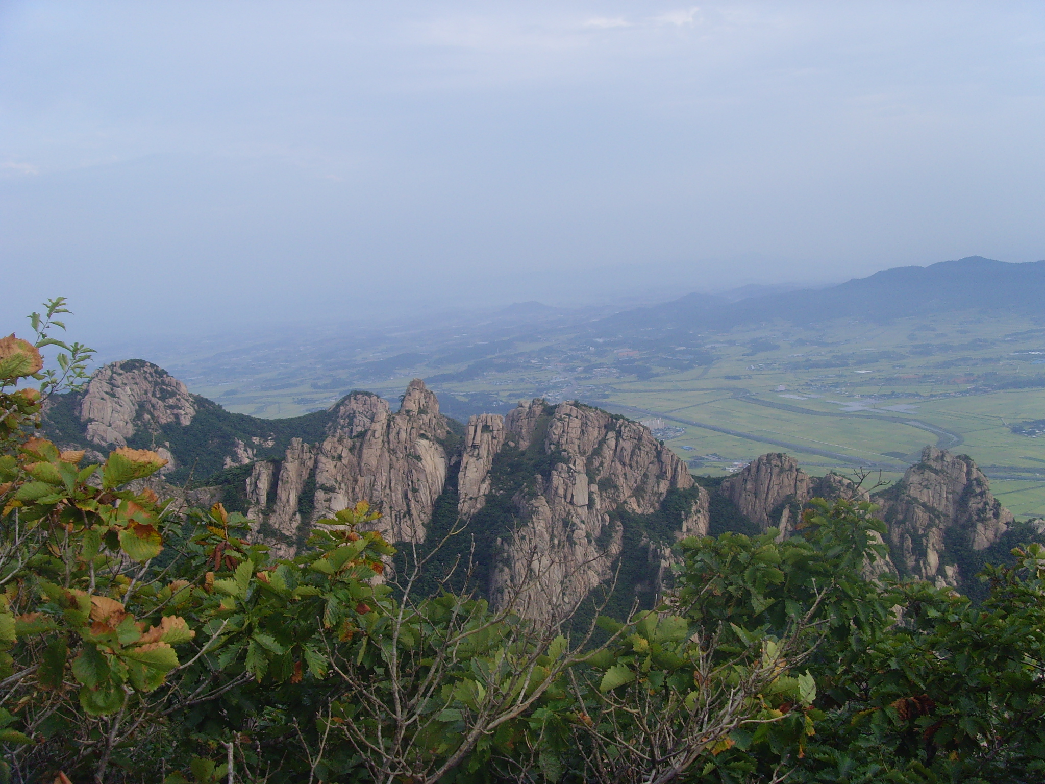 SNV37014.JPG