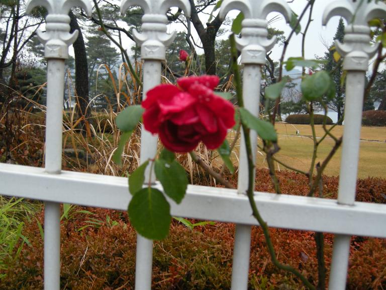 사진 4588.jpg