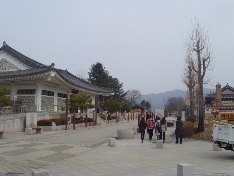 SNV39203.JPG