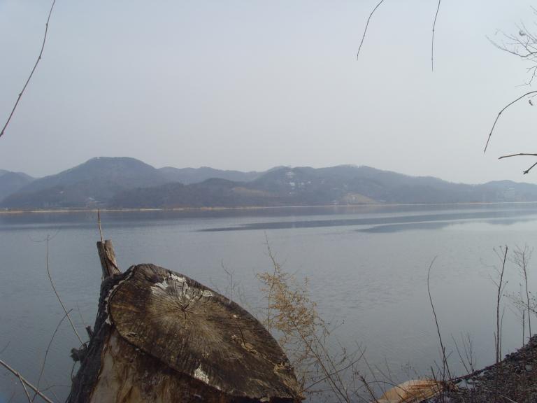 SNV39222.JPG