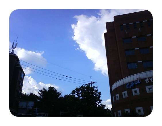 사진090809_13.jpg 사진090809_13.jpg