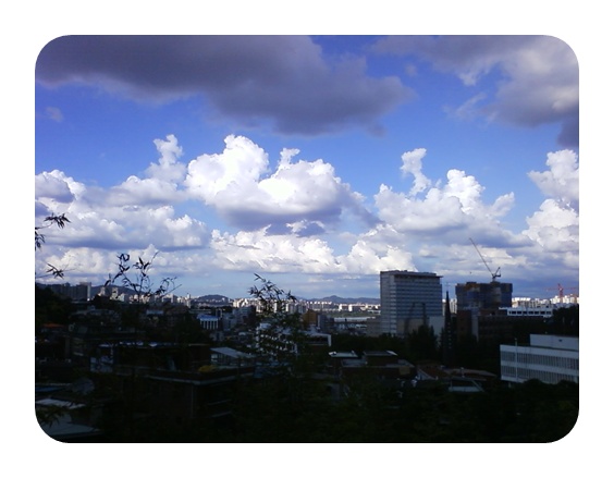 사진090809_17.jpg 사진090809_17.jpg