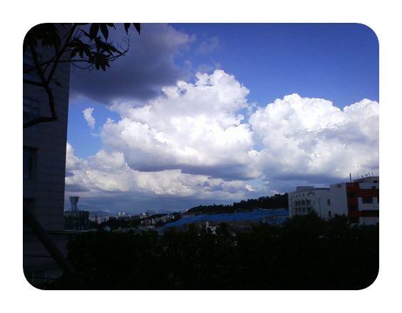사진090809_26.jpg 사진090809_26.jpg
