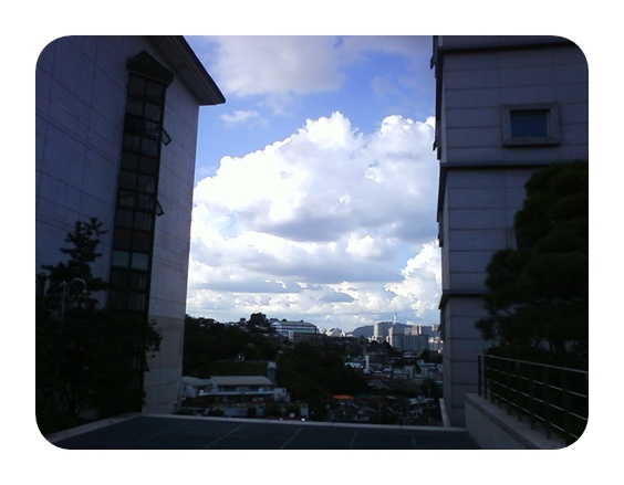 사진090809_28.jpg 사진090809_28.jpg