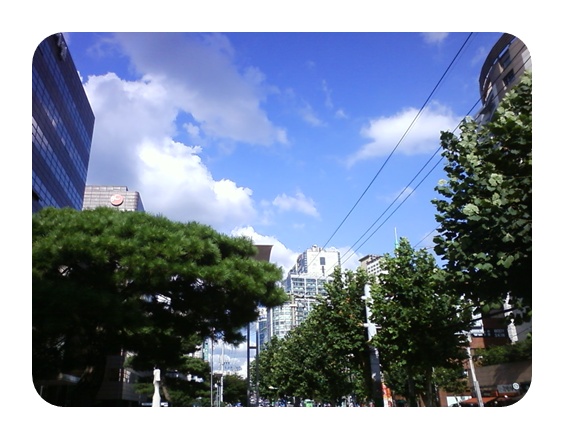 사진090809_3.jpg 사진090809_3.jpg
