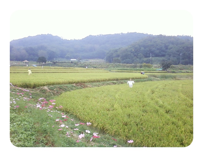 사진090925_1.jpg