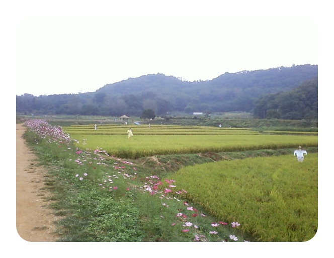 사진090925_2.jpg